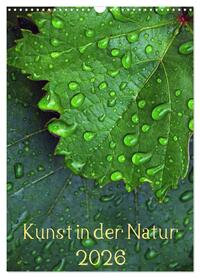 Vorderes Coverbild Kunst in der Natur (Wandkalender 2026 DIN A3 hoch), CALVENDO Monatskalender
