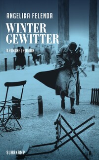 Vorderes Coverbild Wintergewitter