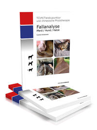 Vorderes Coverbild Fallanalyse