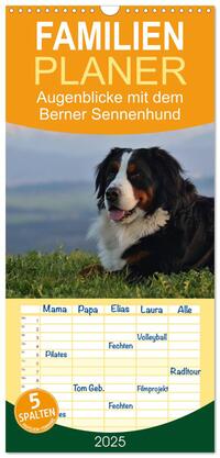 Vorderes Coverbild Familienplaner 2025 - Augenblicke mit dem Berner Sennenhund mit 5 Spalten (Wandkalender, 21 x 45 cm) CALVENDO
