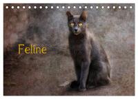 Vorderes Coverbild Feline (Tischkalender 2025 DIN A5 quer), CALVENDO Monatskalender