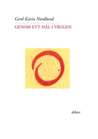 Vorderes Coverbild Genom ett hål i väggen