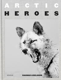 Vorderes Coverbild Arctic Heroes