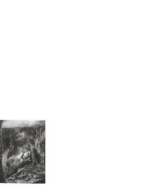 Vorderes Coverbild Fortune