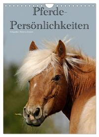 Vorderes Coverbild Pferde-Persönlichkeiten - ausdrucksstarke Gesichter verschiedener Pferderassen (Wandkalender 2026 DIN A4 hoch), CALVENDO Monatskalender