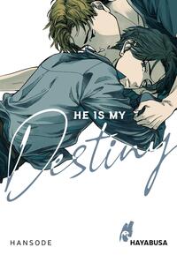 Vorderes Coverbild He is my Destiny
