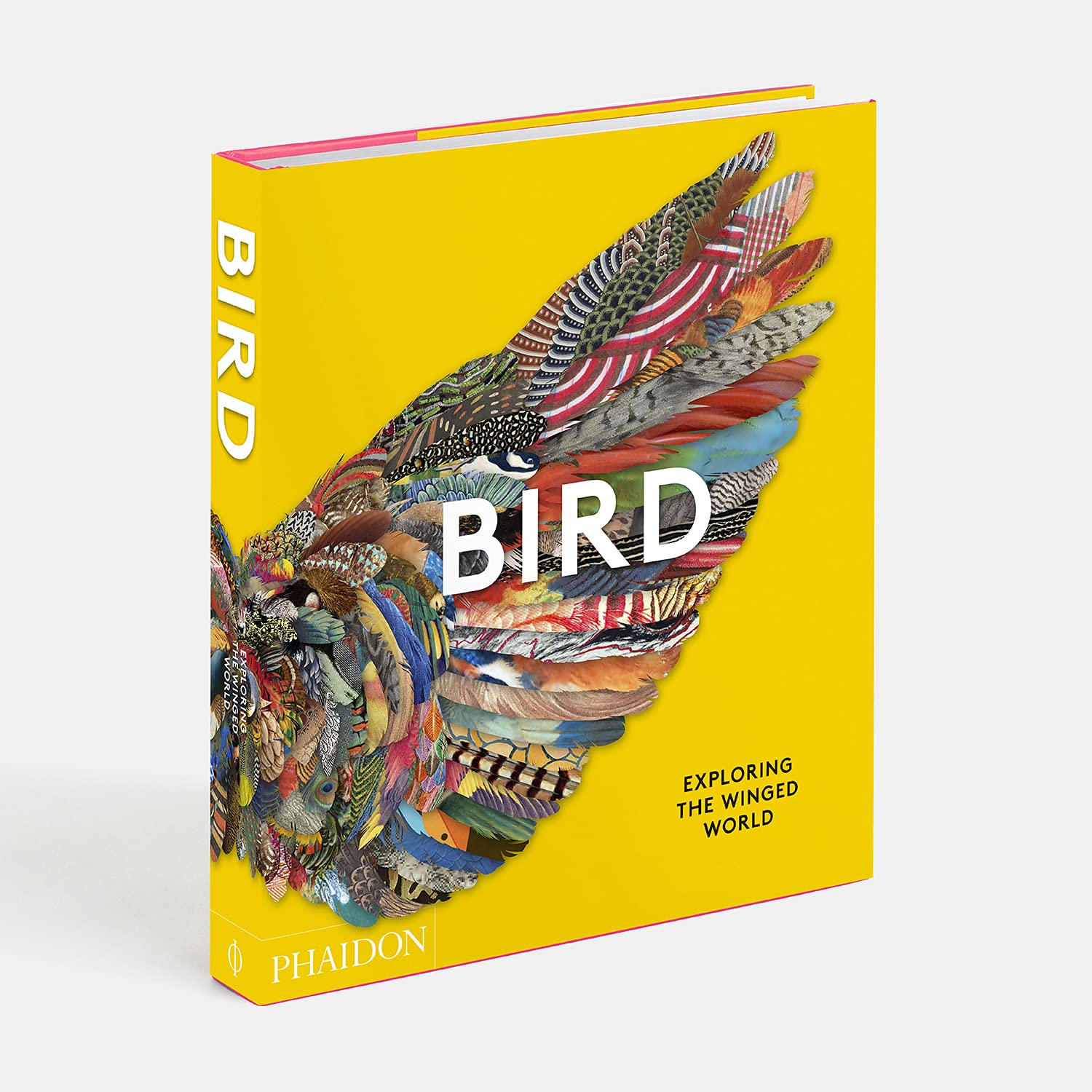 Beispielinhalt (Bild) Bird: Exploring the Winged World