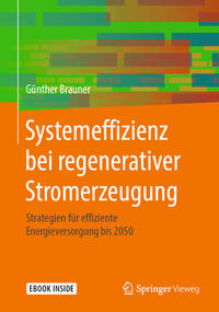 Vorderes Coverbild Systemeffizienz bei regenerativer Stromerzeugung