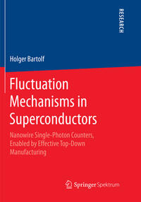 Vorderes Coverbild Fluctuation Mechanisms in Superconductors