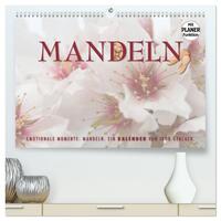 Vorderes Coverbild Emotionale Momente: Mandeln (hochwertiger Premium Wandkalender 2026 DIN A2 quer), Kunstdruck in Hochglanz