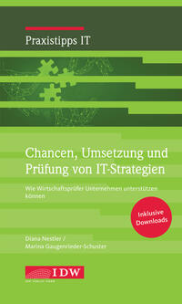 Vorderes Coverbild Chancen, Umsetzung und Prüfung von IT-Strategien