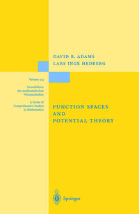 Vorderes Coverbild Function Spaces and Potential Theory