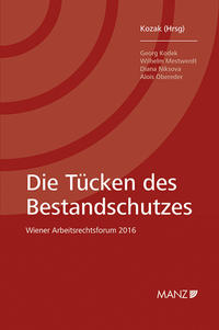 Vorderes Coverbild Die Tücken des Bestandschutzes