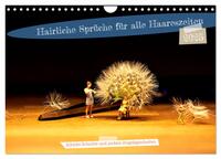 Vorderes Coverbild Hairliche Sprüche für alle Haareszeiten (Wandkalender 2025 DIN A4 quer), CALVENDO Monatskalender