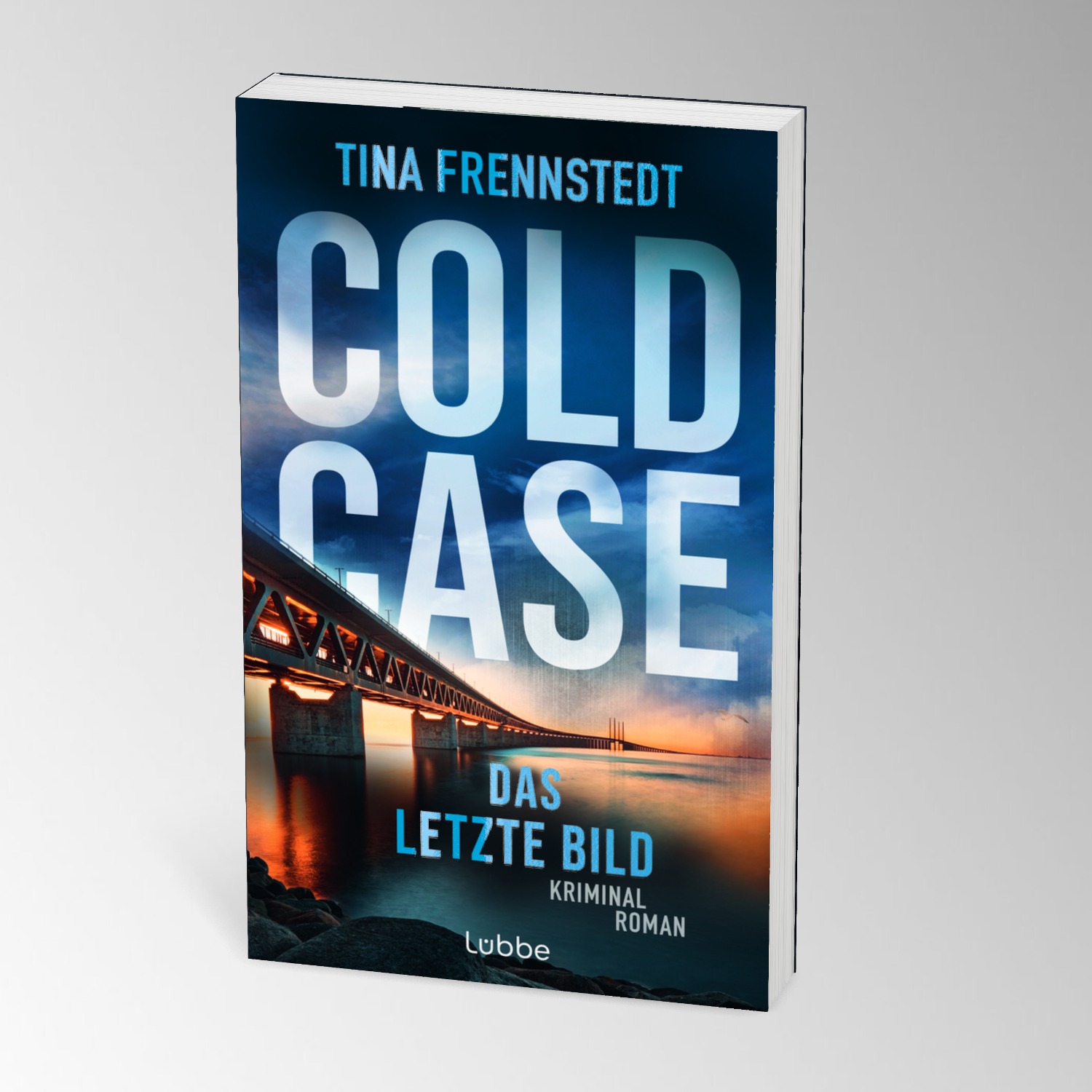 Beispielinhalt (Bild) COLD CASE - Das letzte Bild