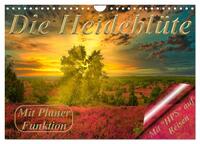 Vorderes Coverbild Die Heideblüte (Wandkalender 2025 DIN A4 quer), CALVENDO Monatskalender
