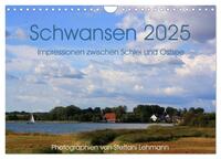 Vorderes Coverbild Schwansen 2025. Impressionen zwischen Schlei und Ostsee (Wandkalender 2025 DIN A4 quer), CALVENDO Monatskalender
