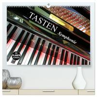Vorderes Coverbild TASTEN Symphonie (hochwertiger Premium Wandkalender 2025 DIN A2 quer), Kunstdruck in Hochglanz