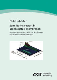Vorderes Coverbild Zum Stofftransport in Brennstoffzellenmembranen