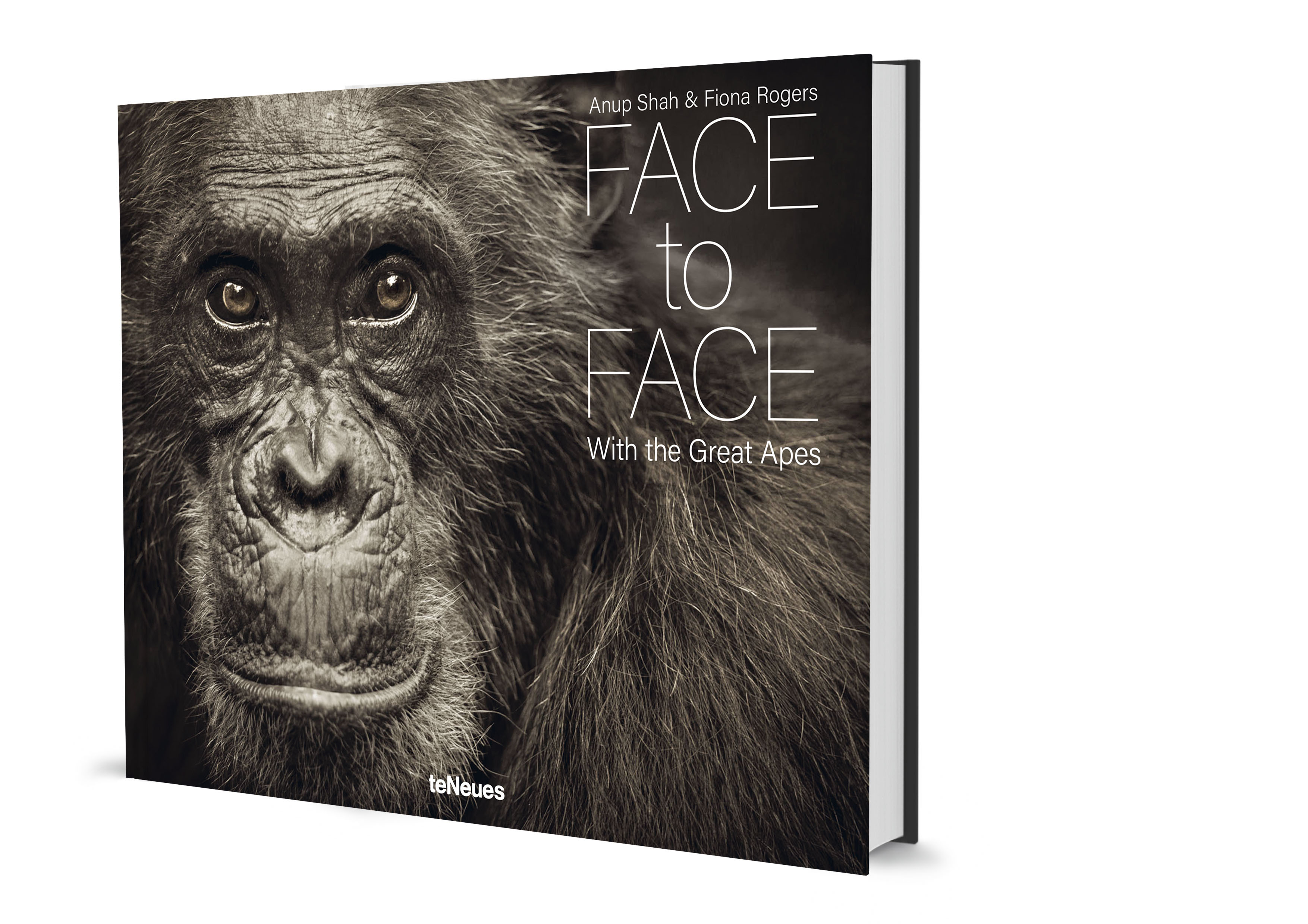 Beispielinhalt (Bild) Face to Face