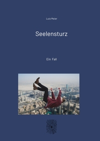 Vorderes Coverbild Seelensturz