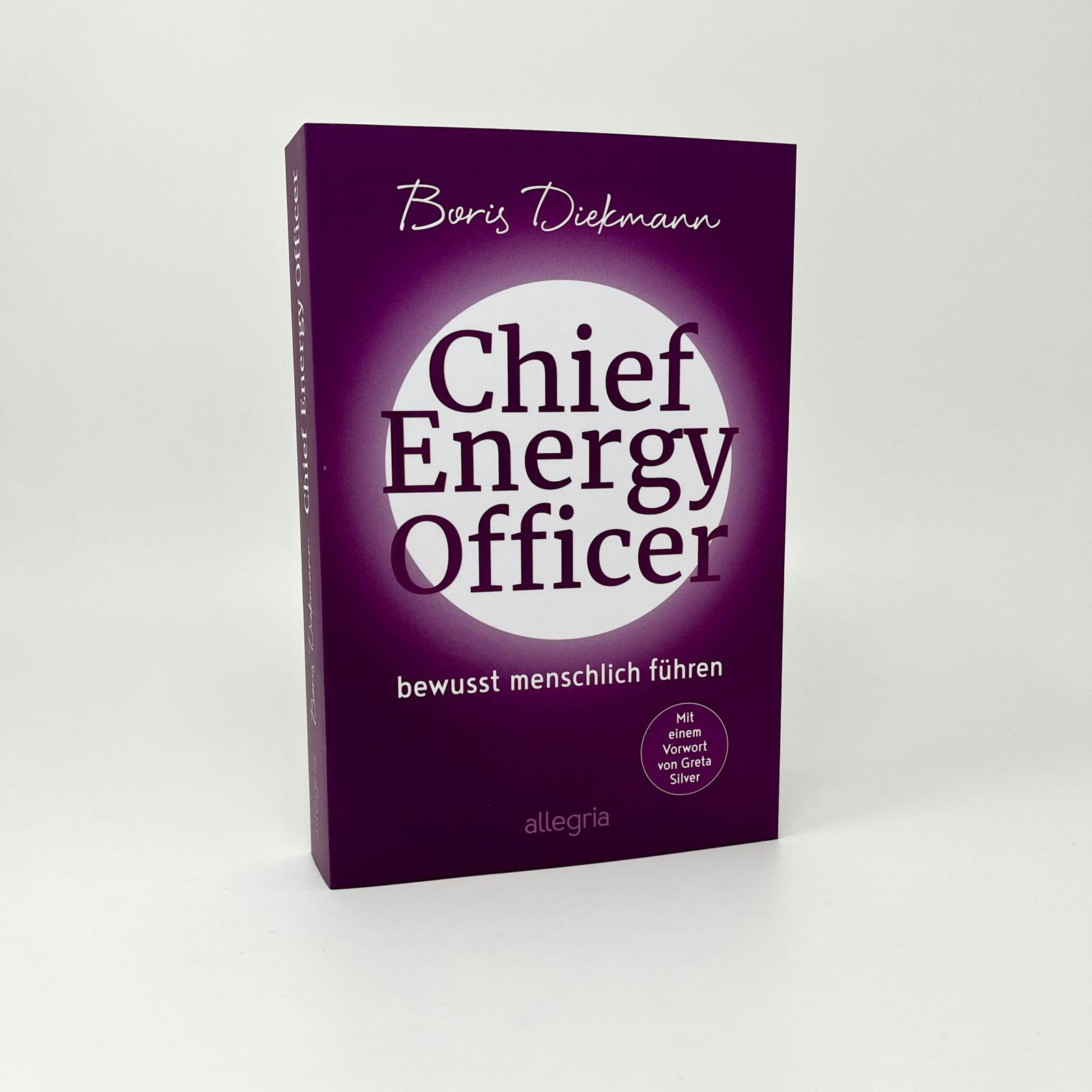 Beispielinhalt (Bild) Chief Energy Officer