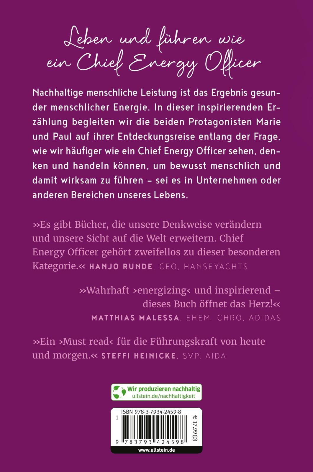 Rückseitencover Chief Energy Officer