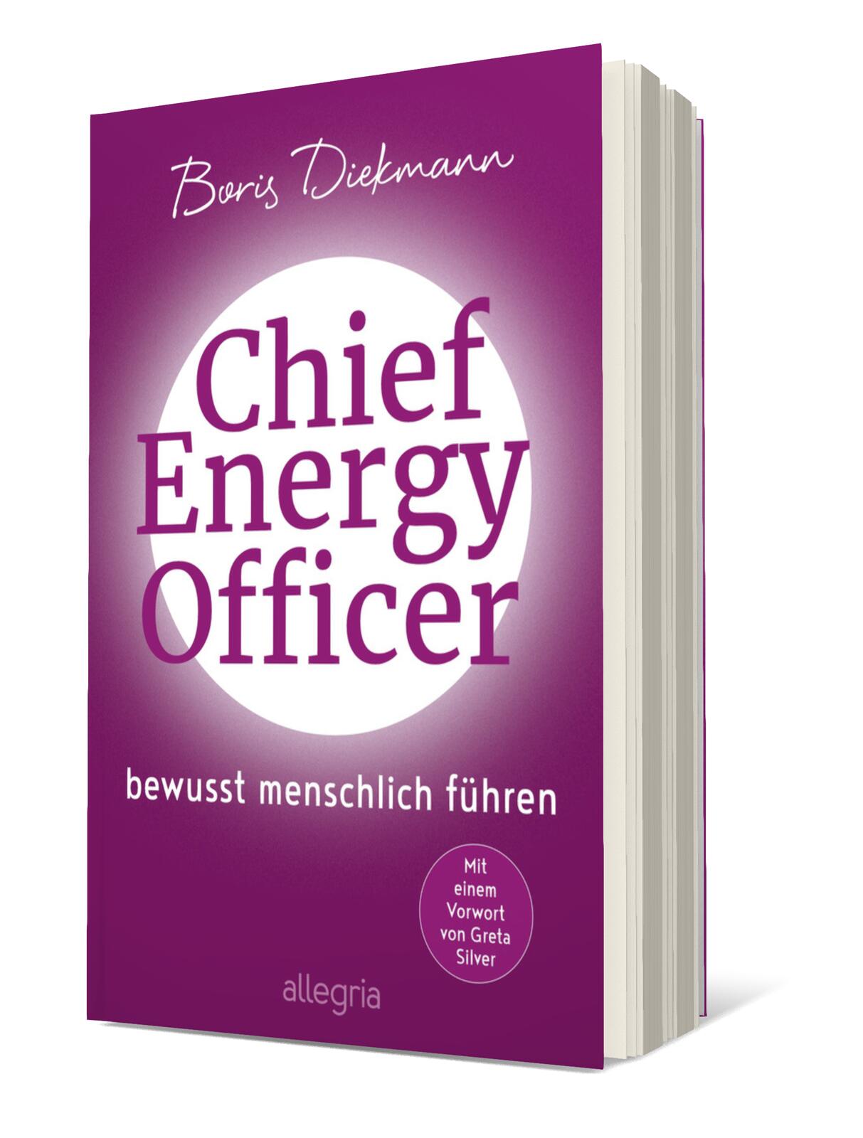 Anderes Coverbild Chief Energy Officer