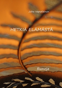 Vorderes Coverbild Hetkiä elämästä
