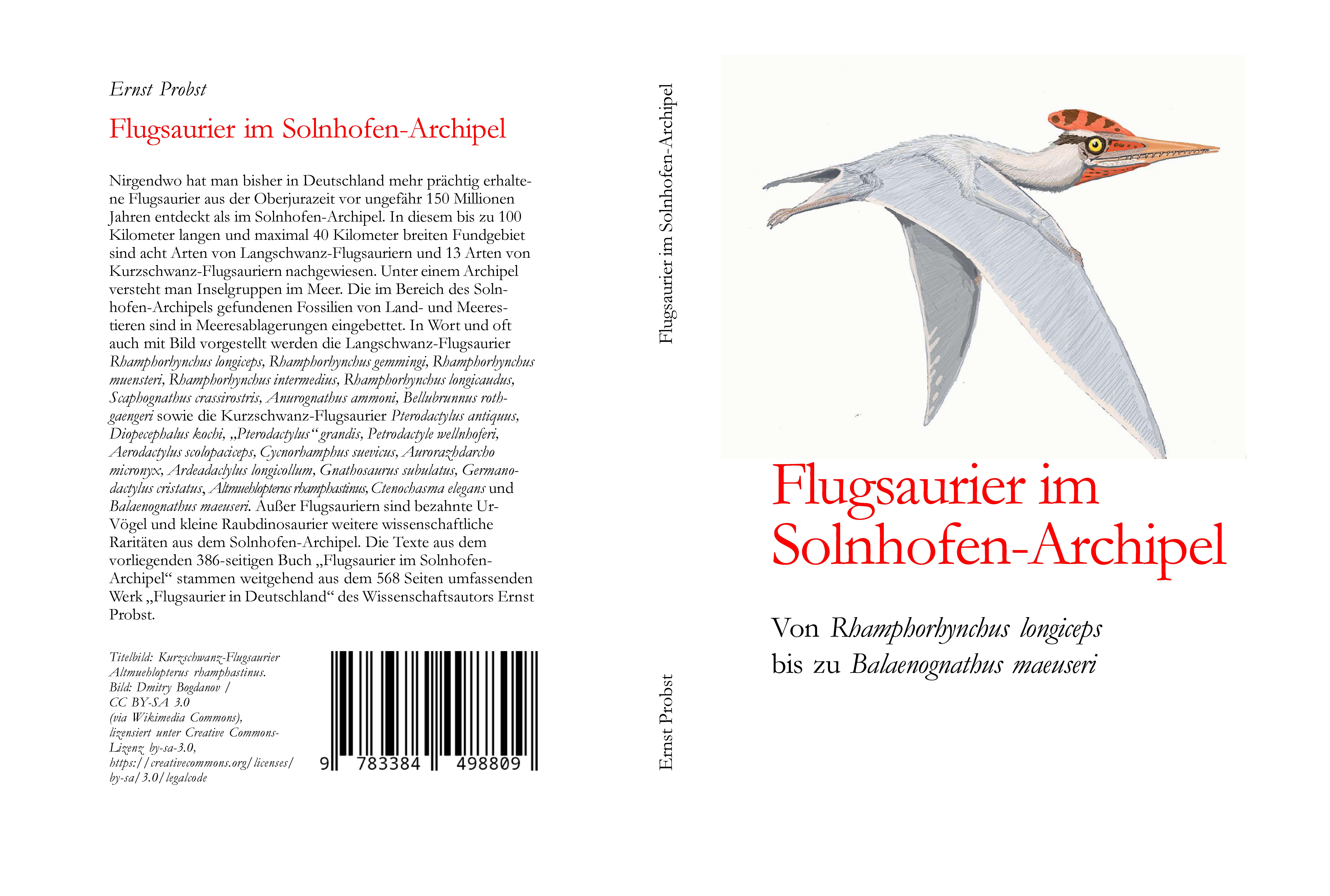 Gesamtes Coverbild Flugsaurier im Solnhofen-Archipel