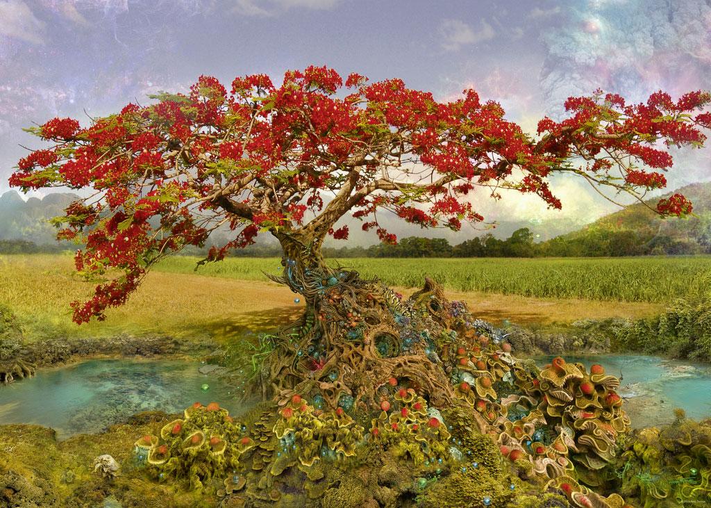 Beispielinhalt (Bild) Strontium Tree Puzzle