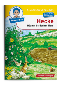 Vorderes Coverbild Benny Blu - Hecke