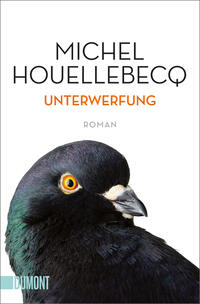 Vorderes Coverbild Unterwerfung