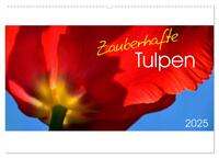 Vorderes Coverbild Zauberhafte Tulpen (Wandkalender 2025 DIN A2 quer), CALVENDO Monatskalender