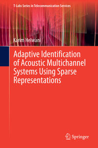 Vorderes Coverbild Adaptive Identification of Acoustic Multichannel Systems Using Sparse Representations