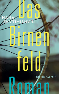 Vorderes Coverbild Das Birnenfeld