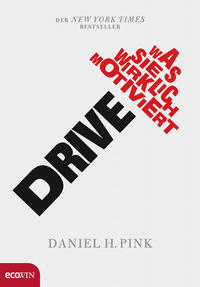Vorderes Coverbild Drive