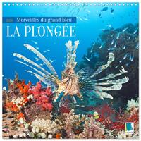 Vorderes Coverbild La plongée : merveilles du grand bleu (Calendrier mural carré 2026 30x30 cm) Calendrier double avec une page pour vos prises de notes