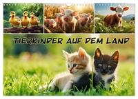 Vorderes Coverbild Tierkinder auf dem Land (Wandkalender 2025 DIN A3 quer), CALVENDO Monatskalender
