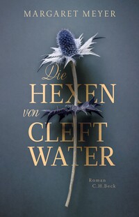 Vorderes Coverbild Die Hexen von Cleftwater