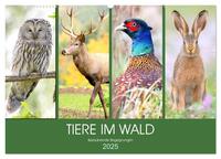 Vorderes Coverbild Tiere im Wald. Bezaubernde Begegnungen (Wandkalender 2025 DIN A2 quer), CALVENDO Monatskalender