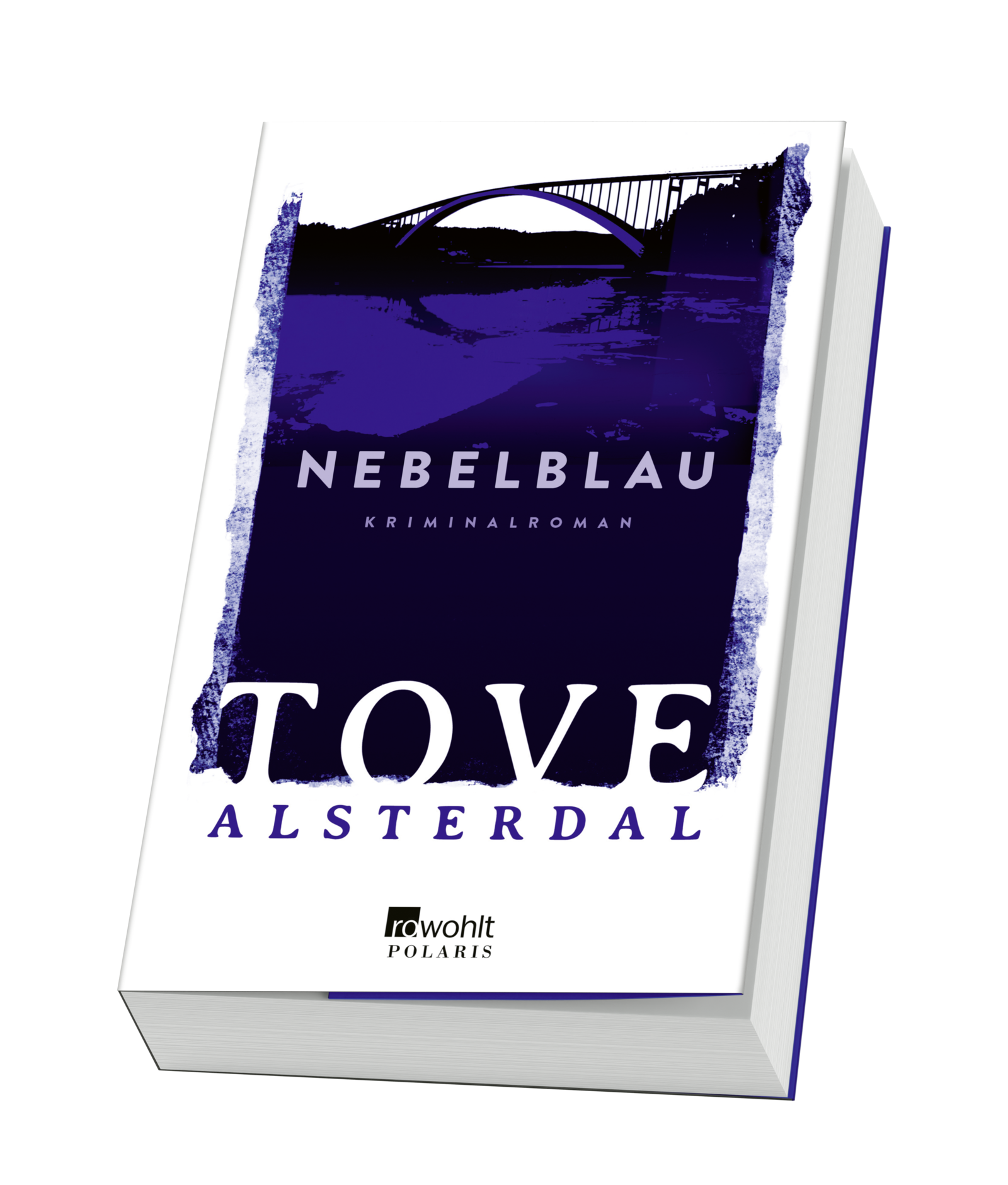 Anderes Coverbild Nebelblau