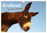 Vorderes Coverbild Großesel an der Loreley (Wandkalender 2025 DIN A4 quer), CALVENDO Monatskalender