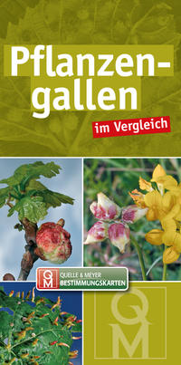 Vorderes Coverbild Pflanzengallen im Vergleich