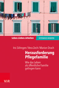 Vorderes Coverbild Herausforderung Pflegefamilie