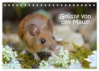 Vorderes Coverbild Grüsse von der Maus! (Tischkalender 2025 DIN A5 quer), CALVENDO Monatskalender