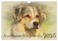 Vorderes Coverbild Australian Shepherds 2025 (Wandkalender 2025 DIN A4 quer), CALVENDO Monatskalender