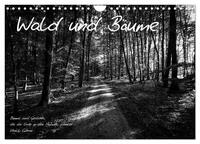Vorderes Coverbild Wald und Bäume (Wandkalender 2025 DIN A4 quer), CALVENDO Monatskalender