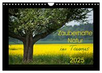 Vorderes Coverbild Zauberhafte Natur im Taunus (Wandkalender 2025 DIN A4 quer), CALVENDO Monatskalender