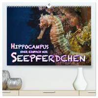 Vorderes Coverbild Hippocampus oder einfach nur Seepferdchen (hochwertiger Premium Wandkalender 2025 DIN A2 quer), Kunstdruck in Hochglanz